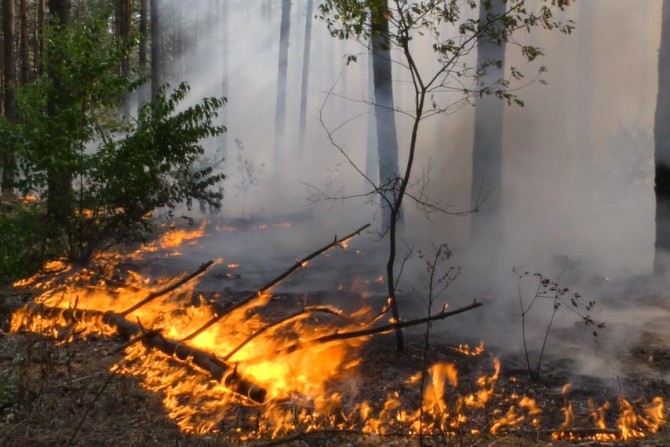 Головні новини - 9400884b-4520-4ffd-9e65-cf8bb881d047 - зображення