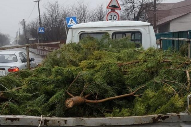 Надзвичайні новини - 94009a91-a6c4-40f6-a3ba-dbf52d7ae84d - зображення