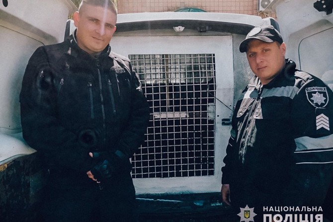поліція Київської області - зображення