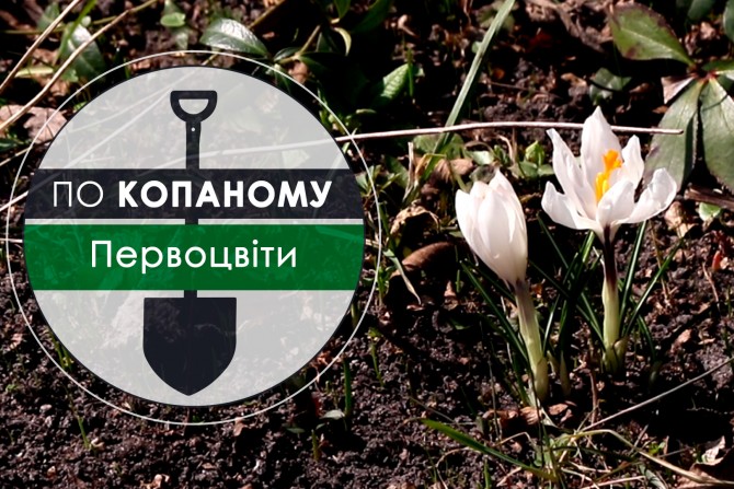 Телепроєкти - 9400db7d-1a19-4f75-8d8c-8a9a42662a05 - зображення