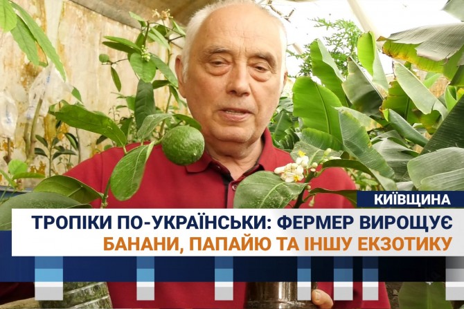  - 9400dbcb-0b47-48e1-9e67-e050e6356c4f - зображення