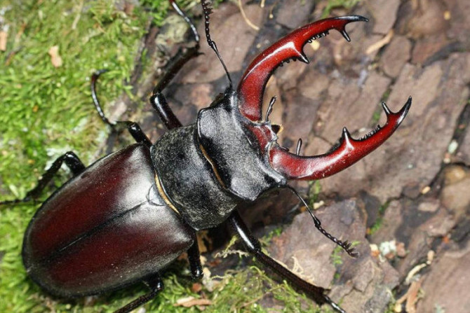 Україна-суспільство - 9678dad5-6b55-4bee-b30e-a1c213f40855 - зображення