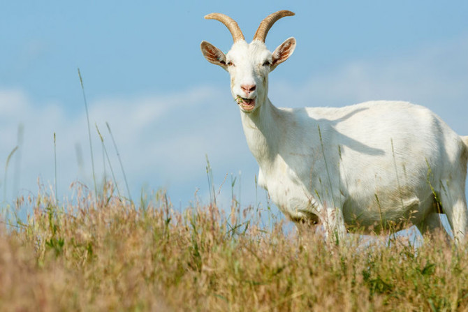 Україна-суспільство - 9696f657-0ae8-421b-b194-2b563de351b3 - зображення