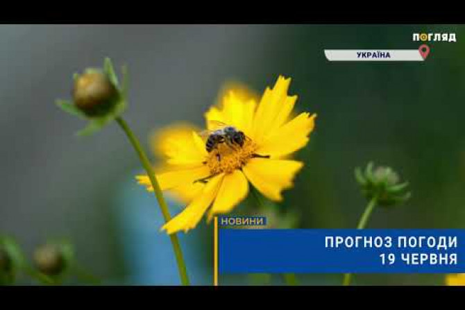 Новини України - 9c530c38-f8d1-448b-a78e-ab9e3ff0c55b - зображення
