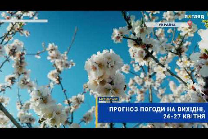Новини України - 9ec48d8b-065c-4cf4-92db-5146fcfc3571 - зображення