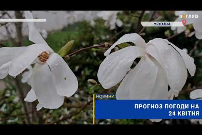 погода - 9ec70bbe-0e37-44b7-9385-7dc1cf24bd8e - зображення