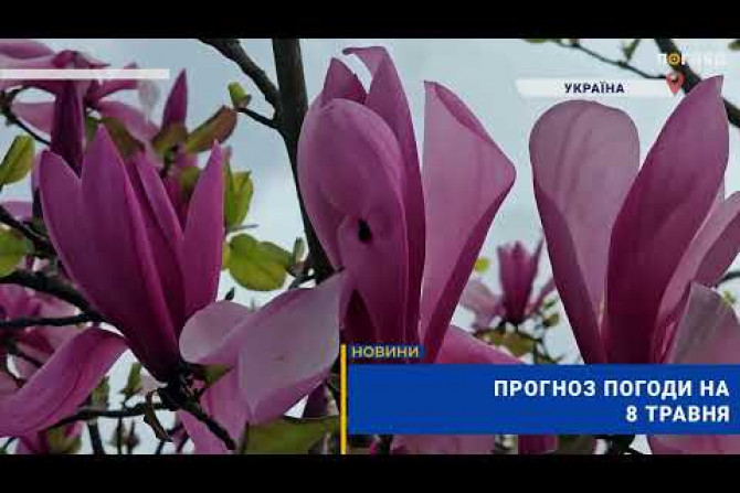 погода - 9ee341c3-f768-4416-8f0a-556f4b40bd53 - зображення