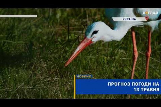 Новини України - 9ee8cef2-63a9-4bb0-8f08-32c944daf5eb - зображення