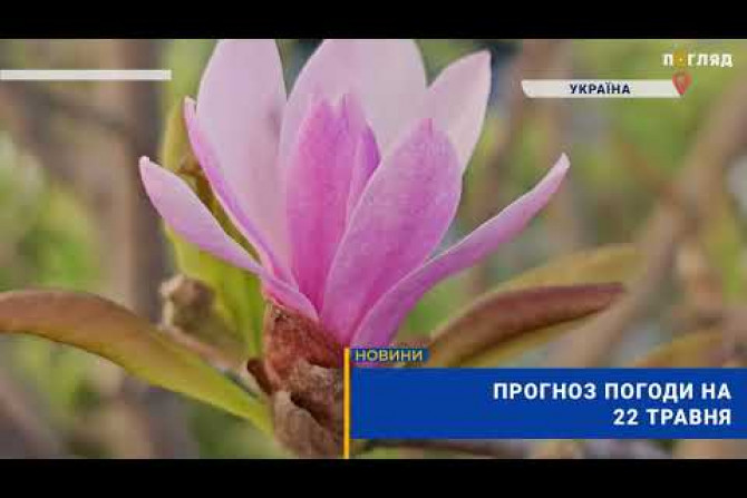 Україна - 9ef8aabf-19a7-4625-bf1c-97beb3b4457a - зображення
