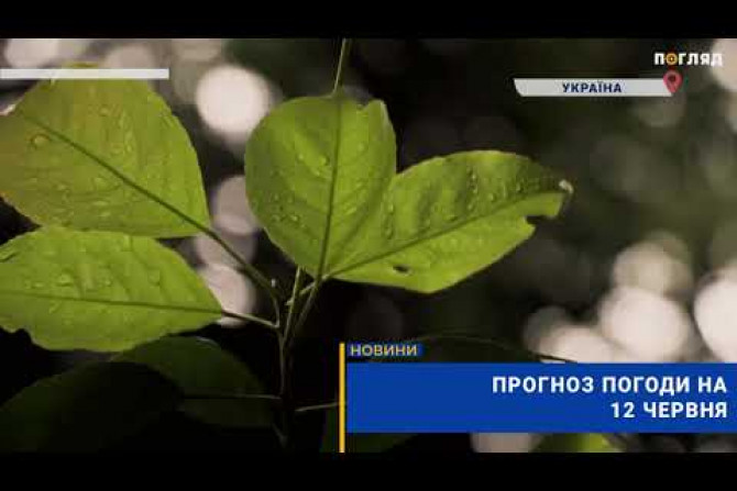 Погляд — новини Київщини онлайн - 9f21a412-1b15-4de4-8ef7-456b01526471 - зображення
