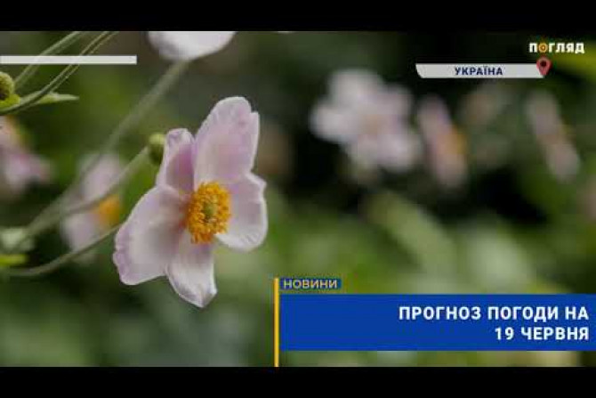 Погляд — новини Київщини онлайн - 9f2fc33d-ea6f-4d75-abb1-0c38db09d346 - зображення