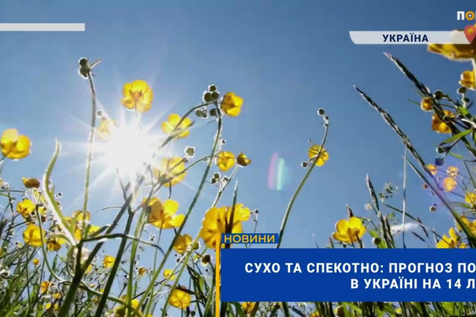 Погляд — новини Київщини онлайн - 9f636af9-220a-471d-b467-db073ce47bca - зображення