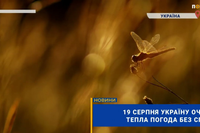 Головні новини - 9fafe203-0ce5-48b2-8018-754a194446d2 - зображення