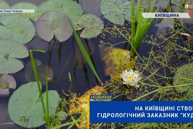Свіжі та актуальні новини Київської області, анонси подій, обговорення, статті - 9fb9ec70-49c5-404c-b512-7515c5f32048 - зображення