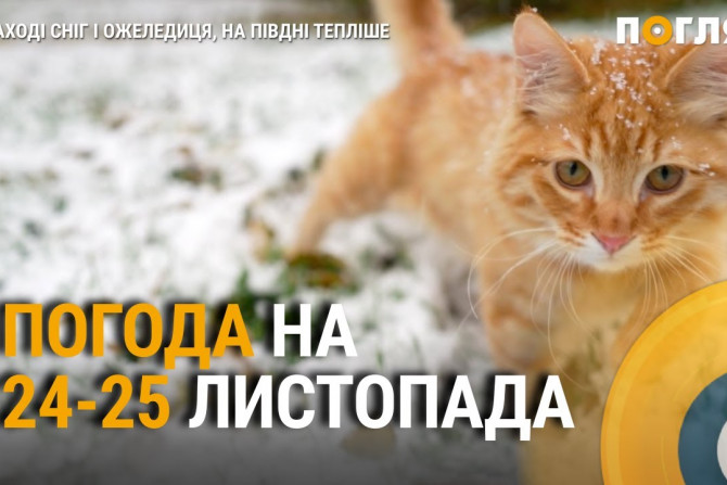 Погляд — новини Київщини онлайн - a06d3af5-1fe7-4331-944b-6484efdfd07f - зображення