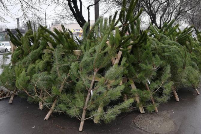 Погляд — новини Київщини онлайн - зображення