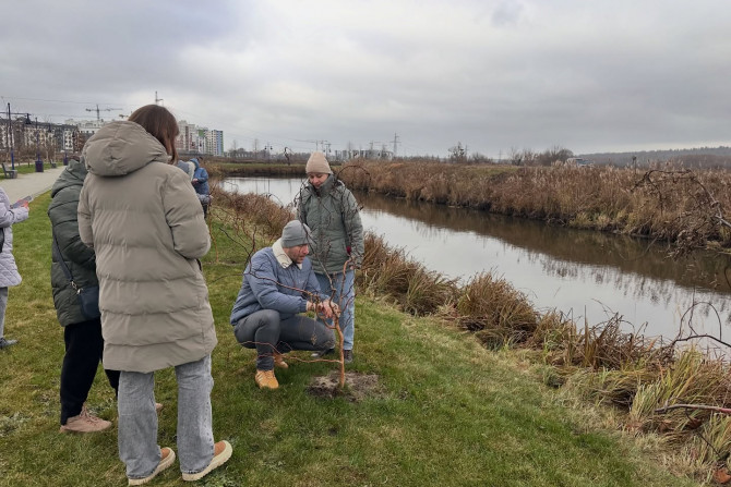 Новини - a0921d6c-b20a-4c3e-8197-429739ec39e1 - зображення