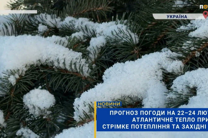 Погляд — новини Київщини онлайн - a124f69c-3495-493b-82b8-a6a6b52ad5b8 - зображення