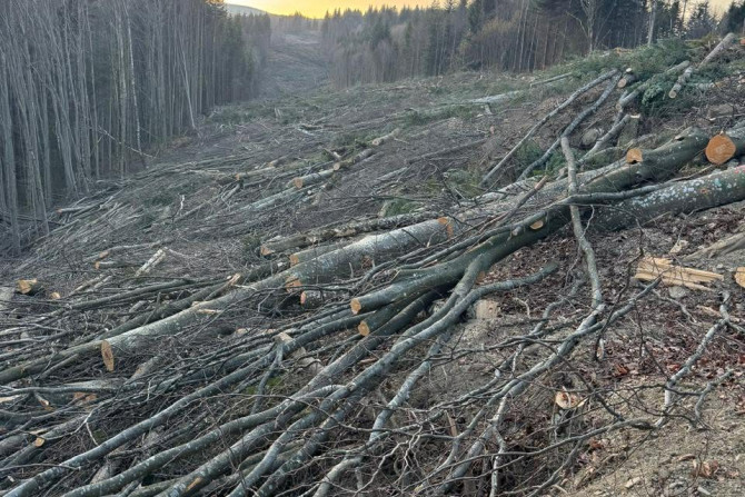 Суспільство - a15d5b5b-9c66-475d-a91e-ee21995c4f12 - зображення