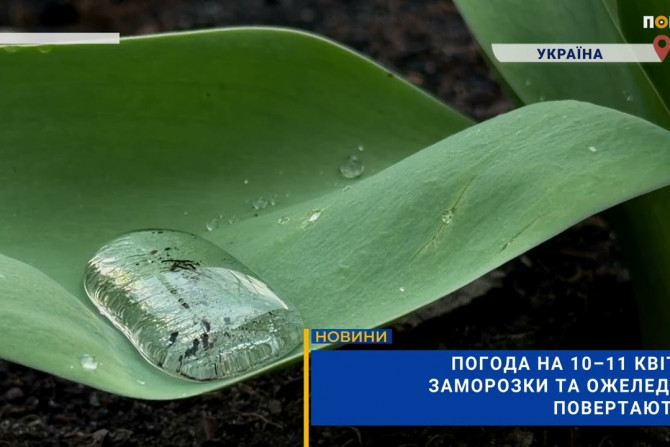 Погляд — новини Київщини онлайн - a1816aa3-2078-4f0a-a6e9-eadeb8d7a509 - зображення