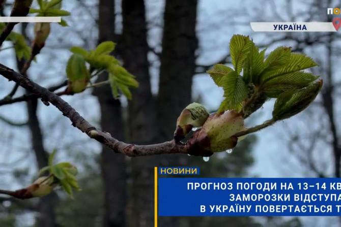 Погляд — новини Київщини онлайн - a1872dbc-3bfe-4132-9a52-c08f53777f51 - зображення