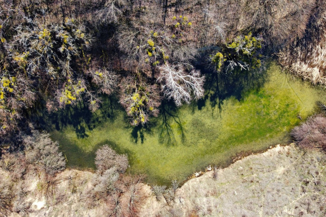 Блоги - a1a3e54b-abae-4ecf-b581-9cf9da03aa4b - зображення