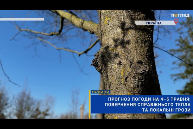 Погляд — новини Київщини онлайн - a1b19a81-295c-4840-9b21-8234a82e918d - зображення
