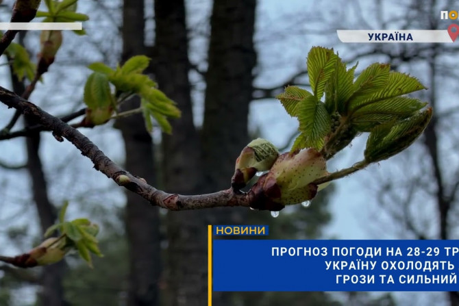 Погляд — новини Київщини онлайн - a1e1f675-d79a-468e-9fa6-e23d7fe7367b - зображення