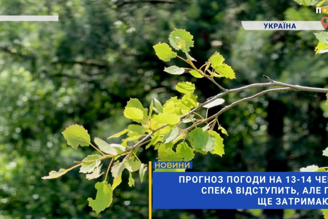 Погляд — новини Київщини онлайн - a20211e3-f2cf-4d64-b5e7-c6bde7c4221f - зображення