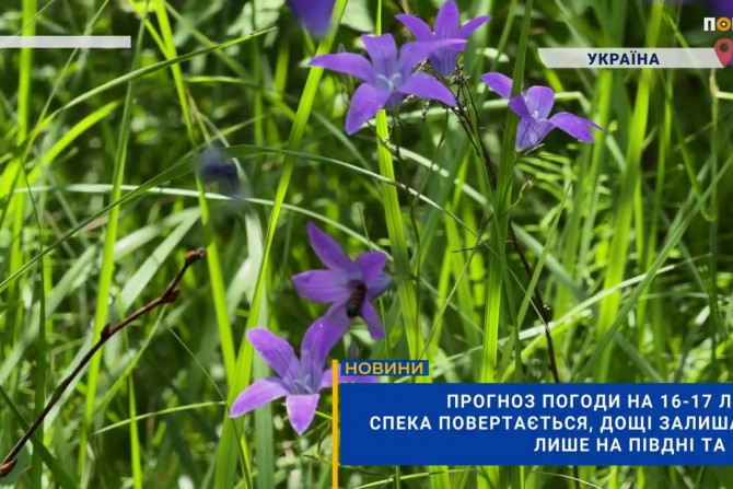 Суспільство - a24460e0-6999-4a92-81dc-0c1fb73df753 - зображення