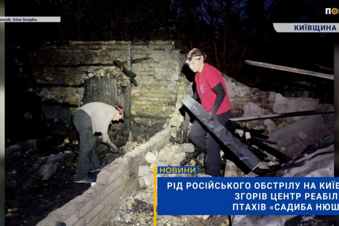 Погляд — новини Київщини онлайн - a2f171d4-46ef-43cd-a2b2-370ce064dc29 - зображення