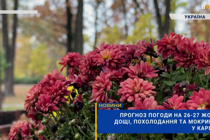 Погляд — новини Київщини онлайн - a313bb24-a427-4f2f-ab4f-9740f072b8da - зображення