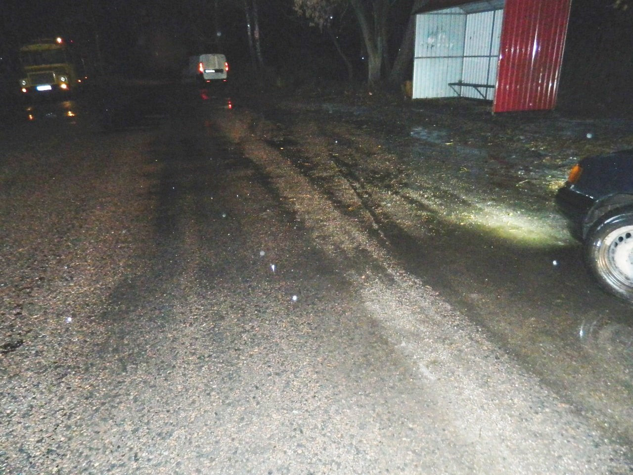 На Фастівщині водій збив школярку - зображення