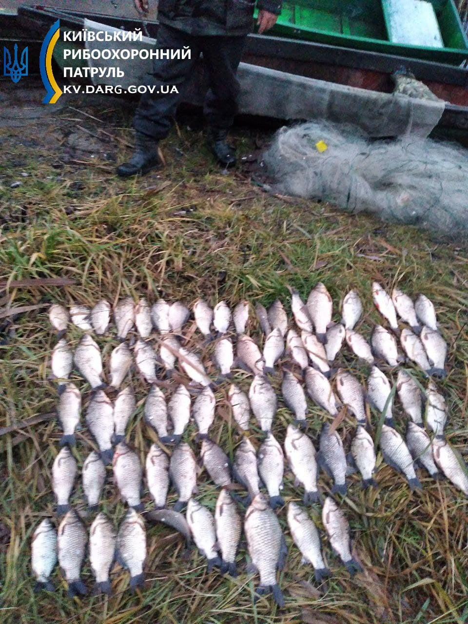 На Обухівщині чоловік у незаконний спосіб наловив риби на понад 100 тисяч гривень - зображення