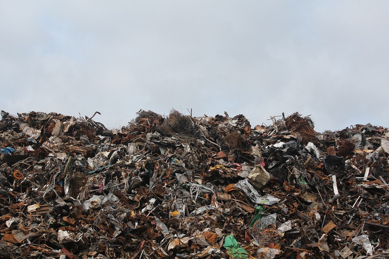 У Гостомелі виявили незаконне сміттєзвалище - зображення