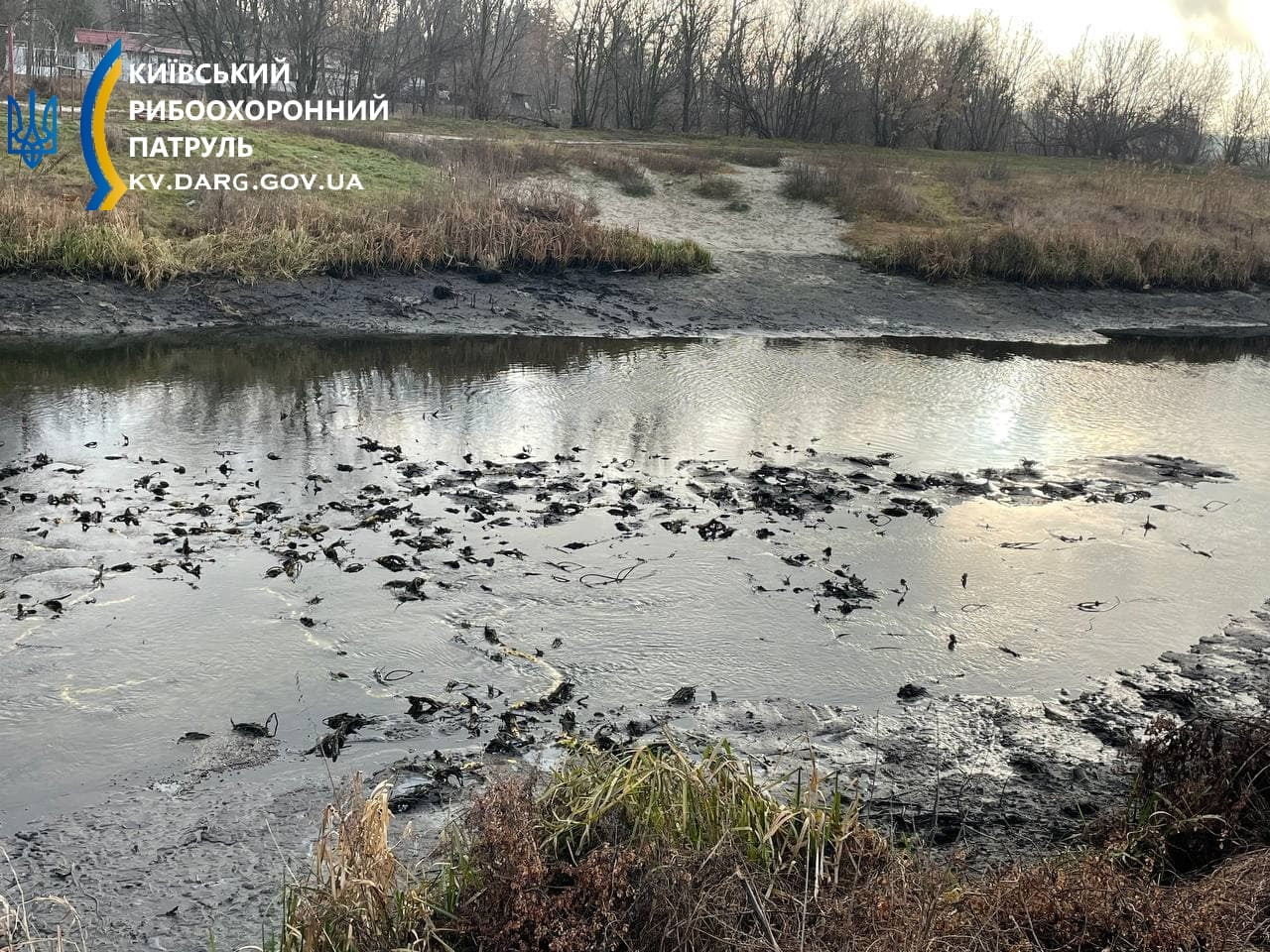 На Київщині зафіксували різке падіння рівня води у річці Трубіж - зображення