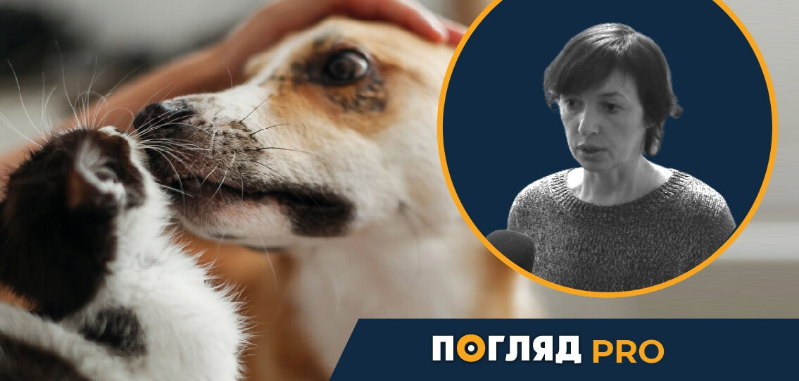 Зоя Савченко: Звернення зоозахисної громадськості міста Ірпінь - зображення