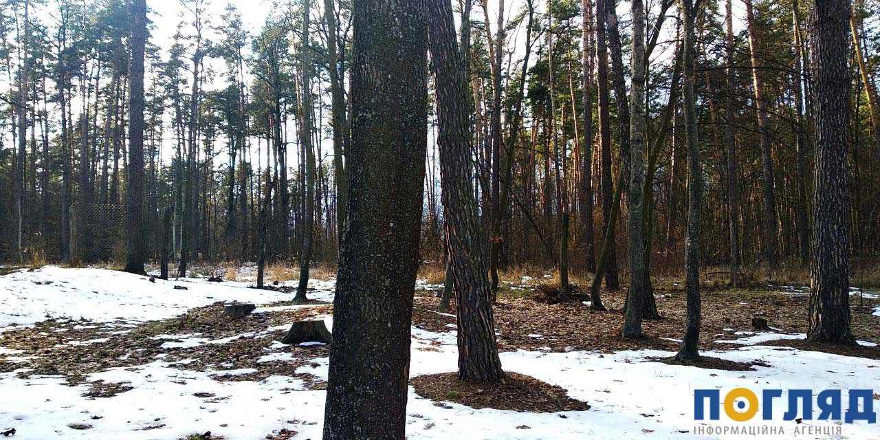 Побили, пограбували та залишили в лісі на Київщині: підозрюваних у вбивстві лікаря судитимуть - зображення