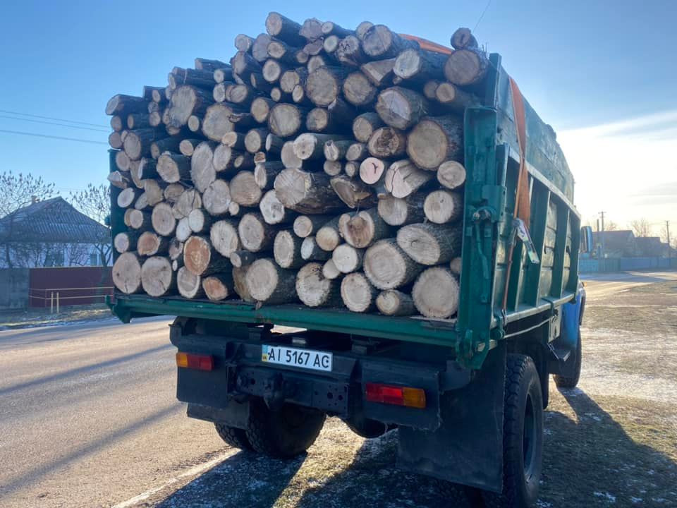 У Білоцерківському районі затримали вантажівку з незаконно зрубаною деревиною - зображення