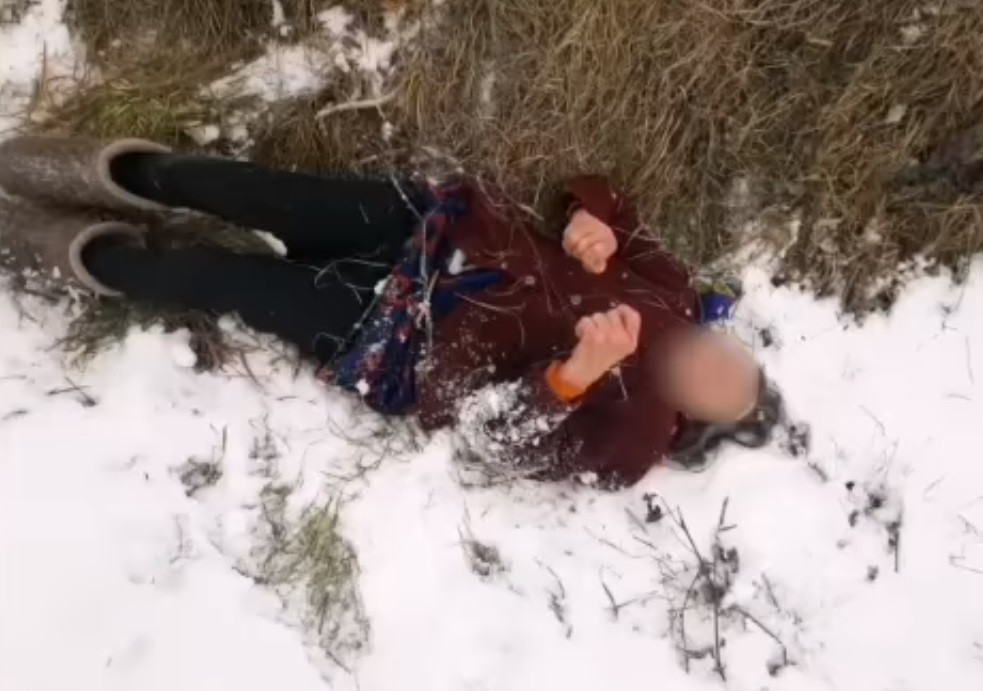 Могла загинути від холоду: на Вишгородщині в полі знайшли літню жінку - зображення