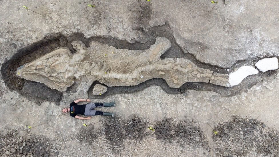 У Великій Британії знайшли десятиметрового іхтіозавра - зображення