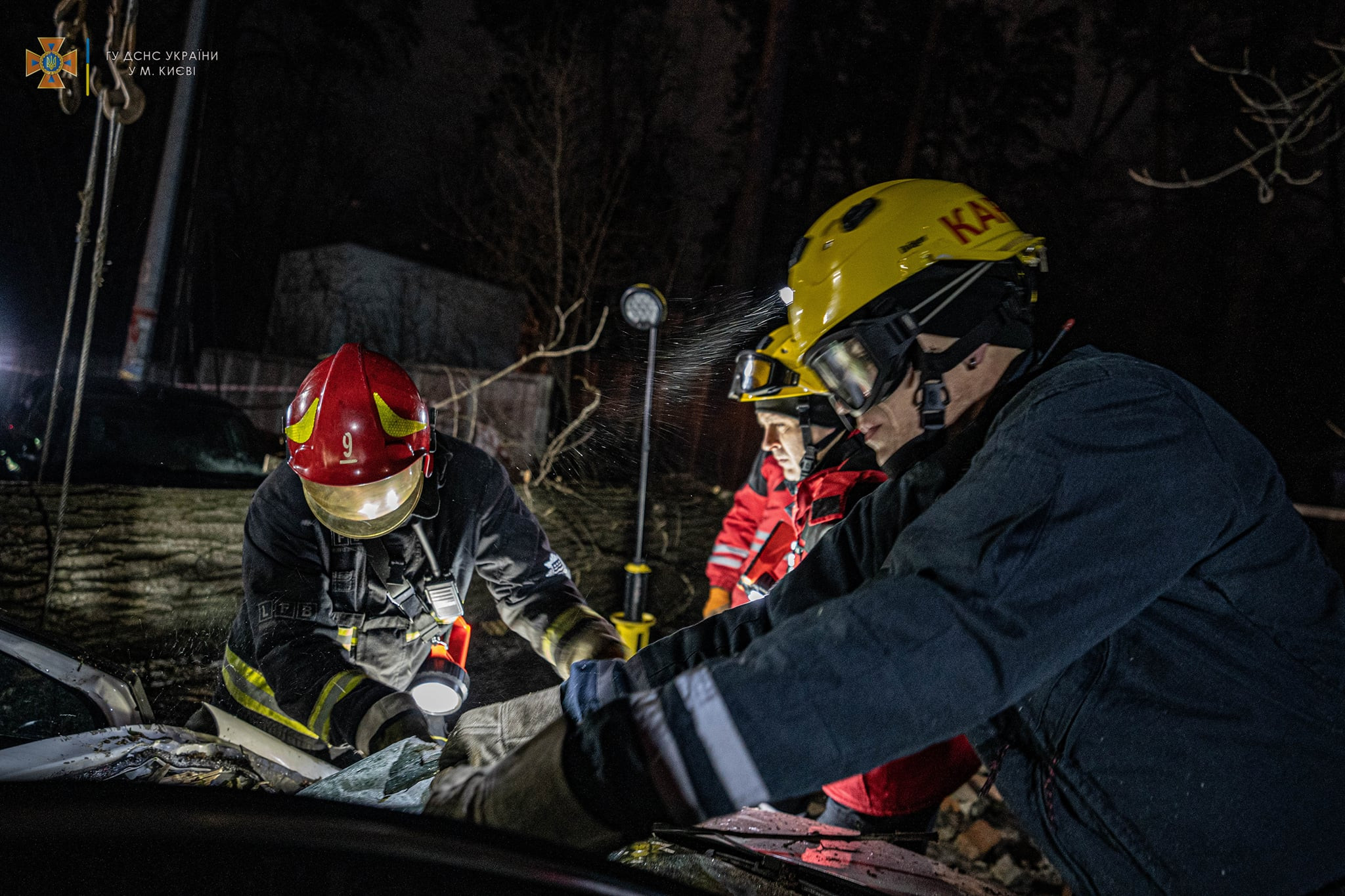 У Києві через негоду дерево впало на авто, водій загинув на місці - зображення