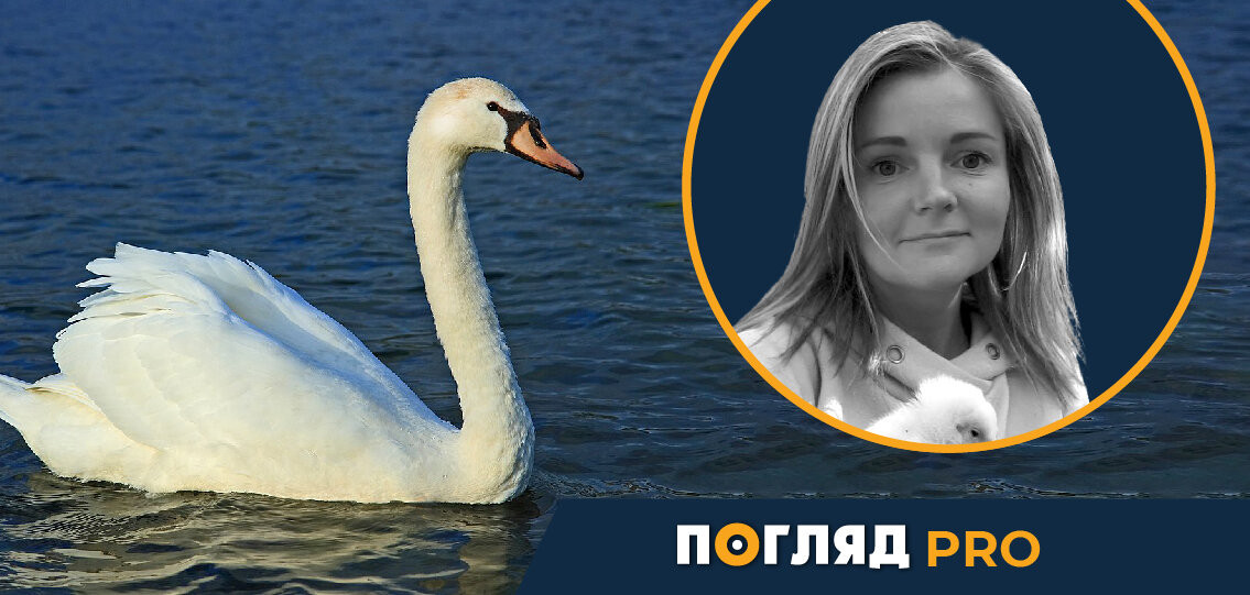 Марія Микитюк: Чому не всі лебеді відлітають - зображення