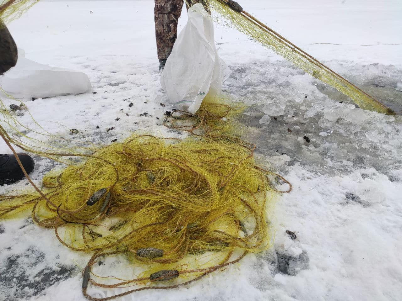 На Вишгородщині екоінспекція з дронів шукає місця незаконної риболовлі - 2 - зображення