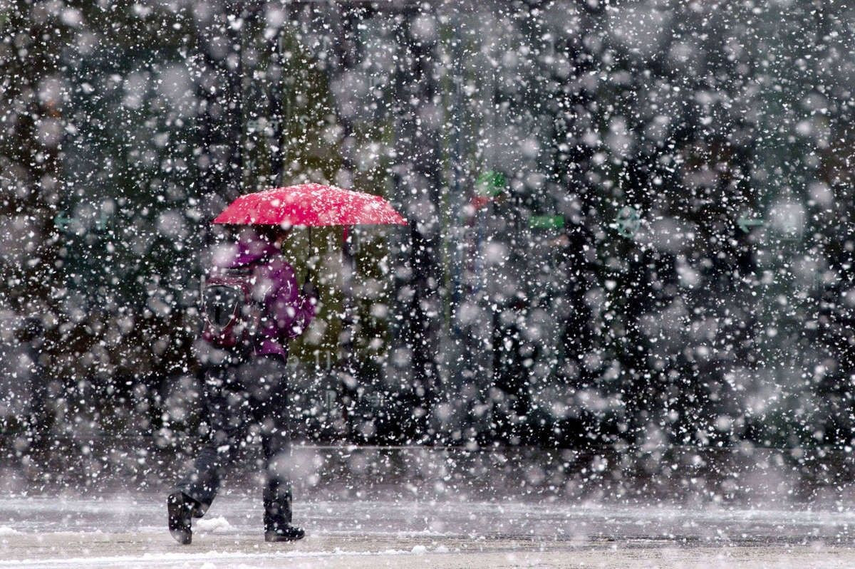 Сніг та дощ: якою буде погода 29 січня - зображення