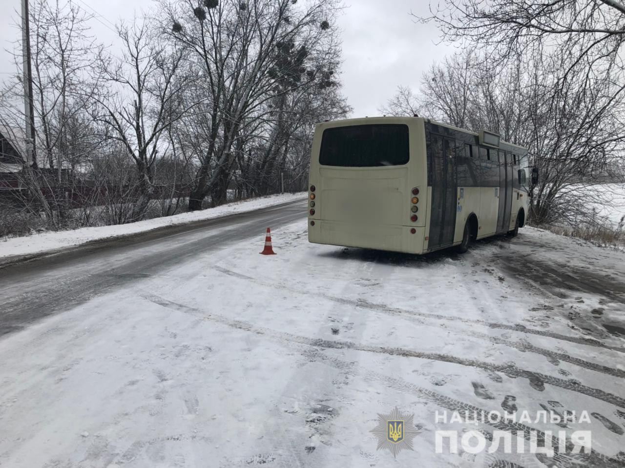 На Броварщині водій автобуса збив літнього чоловіка: потерпілий у комі - зображення