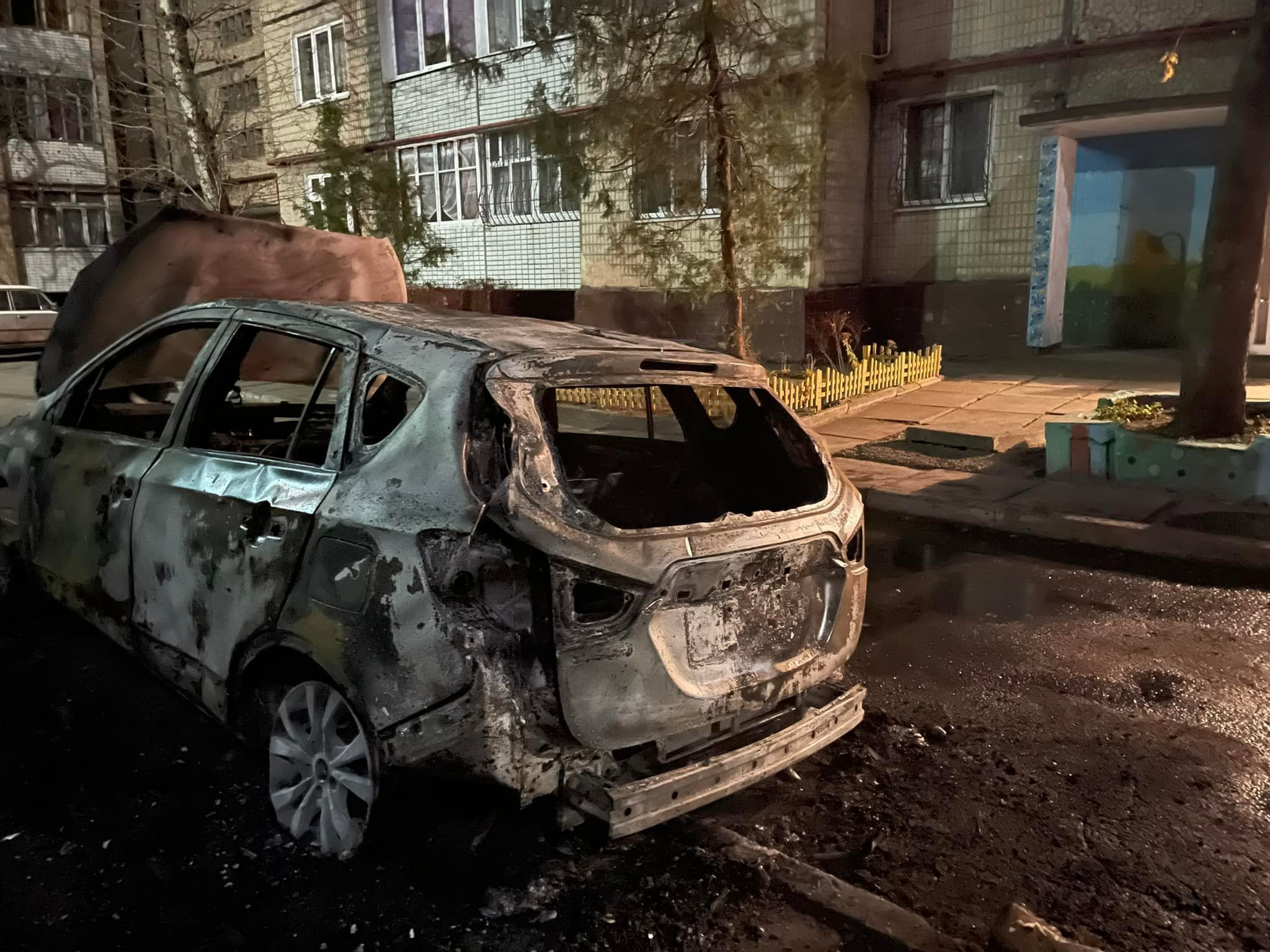Тетяна Печончик: Переслідування і напади на громадських активістів в Україні - зображення