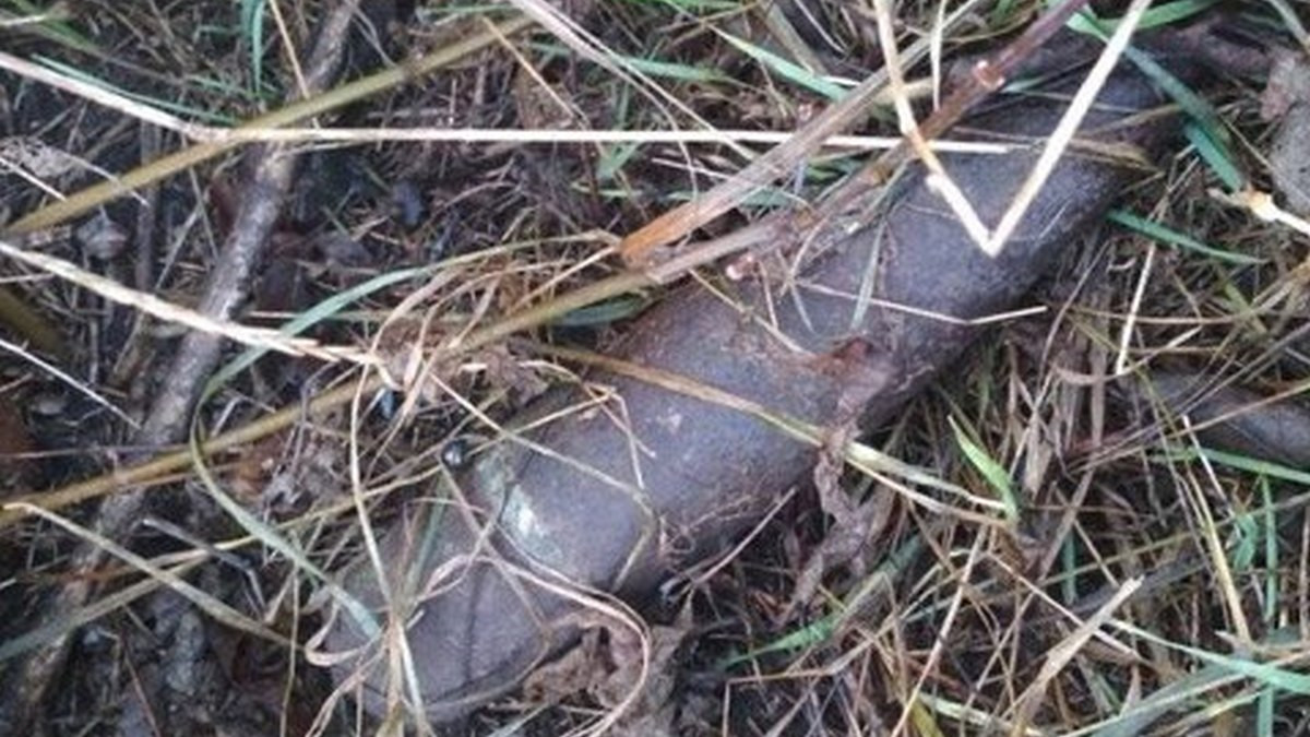 У Віті Поштовій на території садового товариства знайшли кілька снарядів часів світової війни - зображення