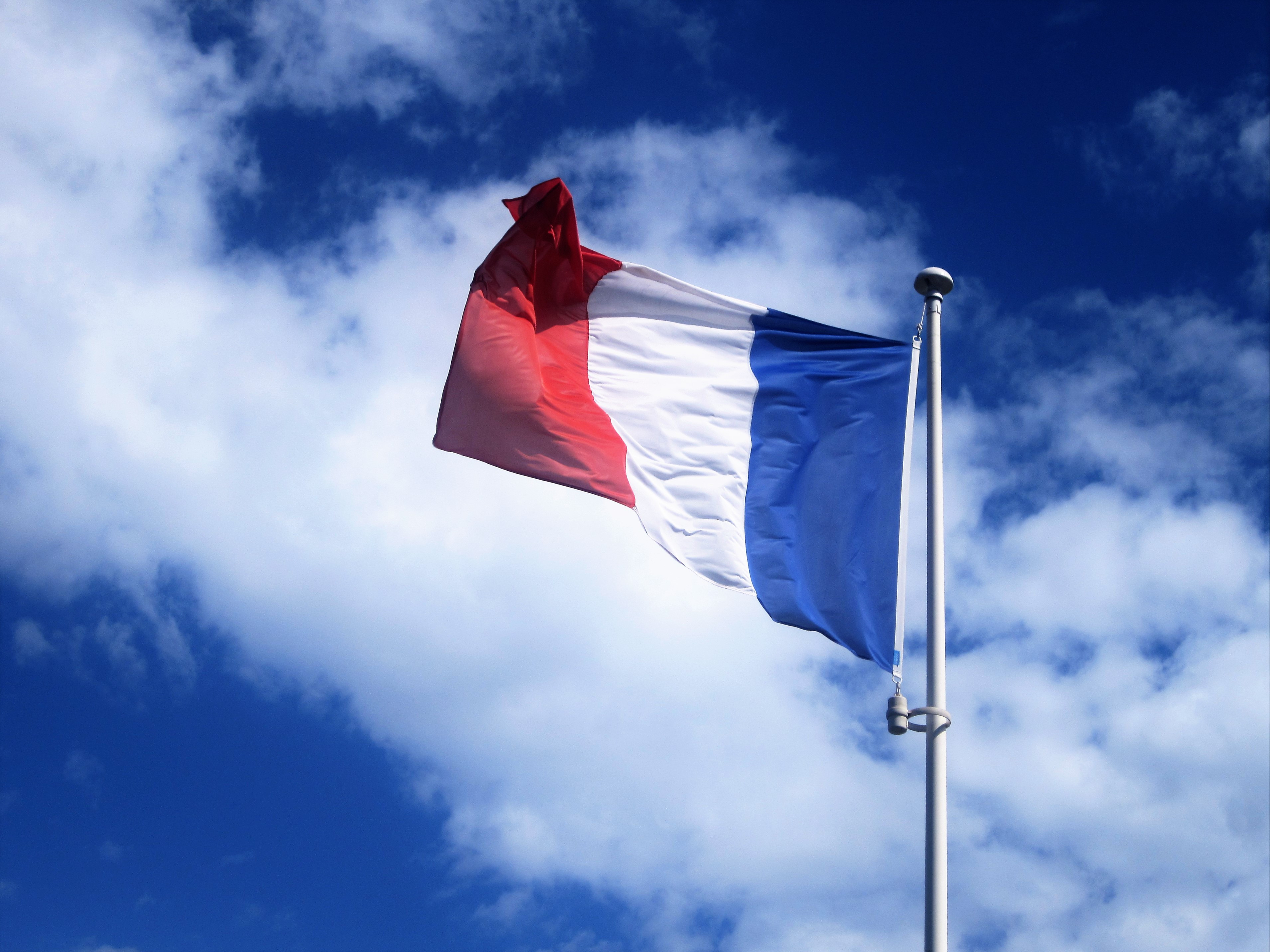Франція готує санкції проти відповідальних за рішення про визнання так званих Л/ДНР - зображення