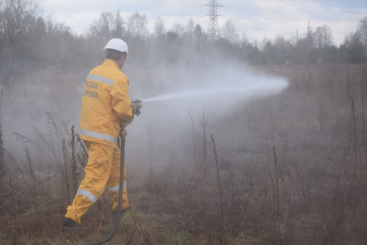 У Чорнобильській зоні спалахнула найбільша за цей рік пожежа - зображення